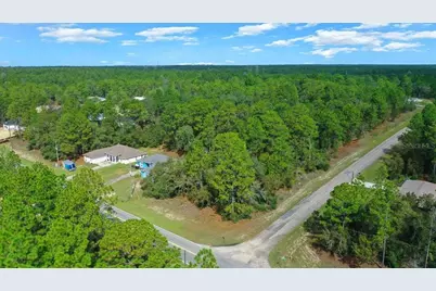 6442 N Dunlap Terrace, Citrus Springs, FL 34433 - Photo 8