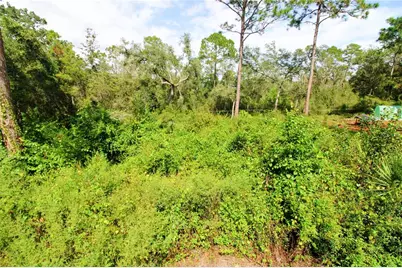 00 SE 10th St, Silver Springs, FL 34488 - Photo 4