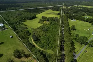 15964 W Hwy 318, Williston, FL 32696 - Photo 36