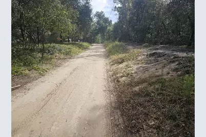 Se 92nd Place, Ocklawaha, FL 32179 - Photo 4