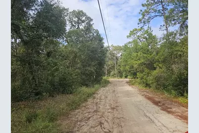 Se 92nd Place, Ocklawaha, FL 32179 - Photo 1