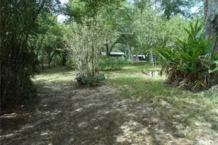20425 NE 143rd St, Fort Mc Coy, FL 32134 - Photo 24