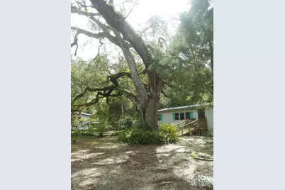 20425 NE 143rd Street, Salt Springs, FL 32134 - Photo 2
