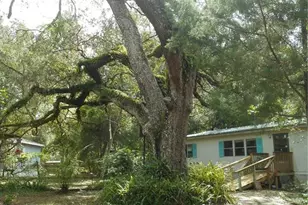 20425 NE 143rd St, Salt Springs, FL 32134 - Photo 2