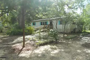 20425 NE 143rd St, Salt Springs, FL 32134 - Photo 2
