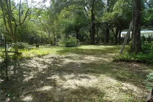 20425 NE 143rd St, Fort Mc Coy, FL 32134 - Photo 12