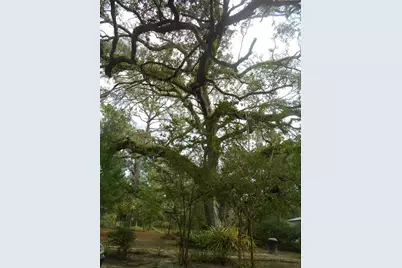 20425 NE 143rd Street, Fort Mc Coy, FL 32134 - Photo 34