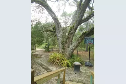 20425 NE 143rd Street, Fort Mc Coy, FL 32134 - Photo 38