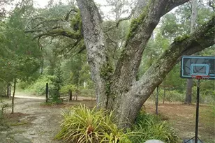 20425 NE 143rd St, Fort Mc Coy, FL 32134 - Photo 38