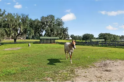 5540 SE 157th Street Road #(Option 1), Summerfield, FL 34491 - Photo 62