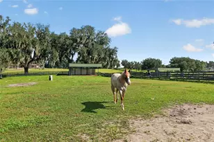 5540 SE 157th Street Rd, Summerfield, FL 34491 - Photo 62