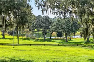 5540 SE 157th Street Rd, Summerfield, FL 34491 - Photo 36