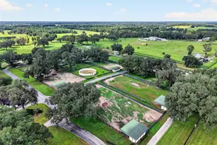 5540 SE 157th Street Rd, Summerfield, FL 34491 - Photo 30