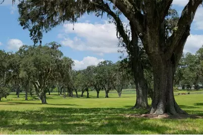 5540 SE 157th Street Road #(Option 1), Summerfield, FL 34491 - Photo 10