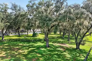 5540 SE 157th Street Rd, Summerfield, FL 34491 - Photo 42