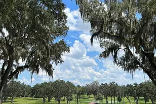 5540 SE 157th Street Rd, Summerfield, FL 34491 - Photo 8