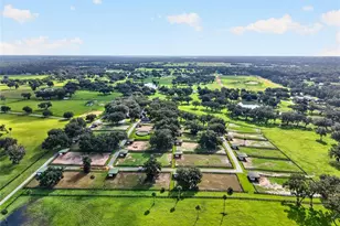 5540 SE 157th Street Rd, Summerfield, FL 34491 - Photo 14