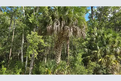 00 E Highway 316, Fort Mc Coy, FL 32134 - Photo 6