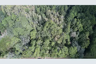 00 E Highway 316, Fort Mc Coy, FL 32134 - Photo 14
