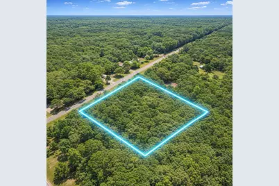 00 E Highway 316, Fort Mc Coy, FL 32134 - Photo 24