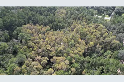 00 E Highway 316, Fort Mc Coy, FL 32134 - Photo 12
