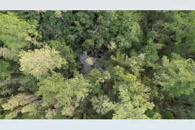 00 E Highway 316, Fort Mc Coy, FL 32134 - Photo 16