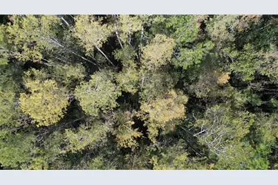 E Highway 316, Fort Mc Coy, FL 32134 - Photo 16