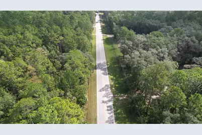 00 E Highway 316, Fort Mc Coy, FL 32134 - Photo 12