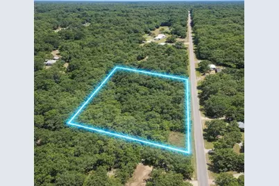 00 E Highway 316, Fort Mc Coy, FL 32134 - Photo 2