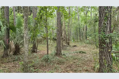 00 E Highway 316, Fort Mc Coy, FL 32134 - Photo 32