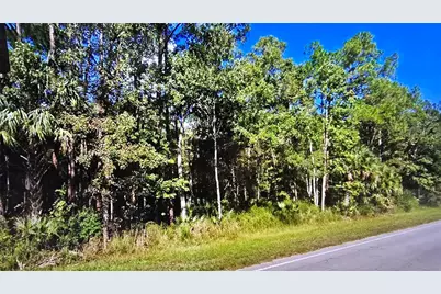 E Highway 316, Fort Mc Coy, FL 32134 - Photo 4