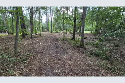 00 E Highway 316, Fort Mc Coy, FL 32134 - Photo 4