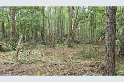 00 E Highway 316, Fort Mc Coy, FL 32134 - Photo 6