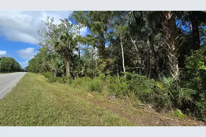 00 E Highway 316, Fort Mc Coy, FL 32134 - Photo 20