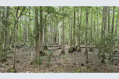 00 E Highway 316, Fort Mc Coy, FL 32134 - Photo 30