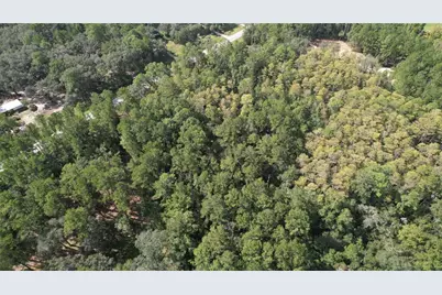 00 E Highway 316, Fort Mc Coy, FL 32134 - Photo 16