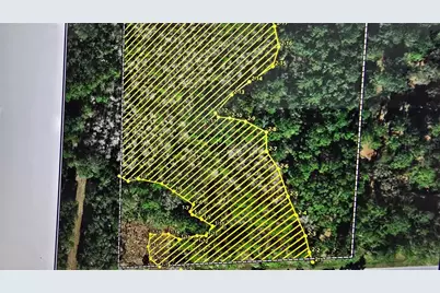 E Highway 316, Fort Mc Coy, FL 32134 - Photo 2