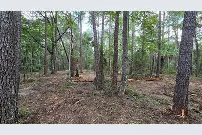 00 E Highway 316, Fort Mc Coy, FL 32134 - Photo 8