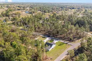 770 NE 151 Ct, Williston, FL 32696 - Photo 48