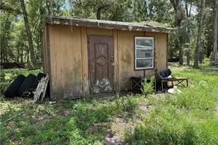 5590 NW 76th Ave, Chiefland, FL 32626 - Photo 16