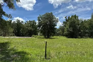 5590 NW 76th Ave, Chiefland, FL 32626 - Photo 20