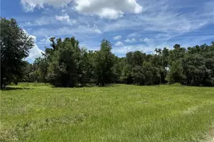 5590 NW 76th Ave, Chiefland, FL 32626 - Photo 22