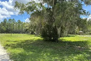 5590 NW 76th Ave, Chiefland, FL 32626 - Photo 18