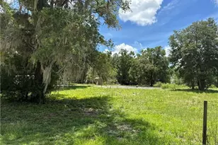 5590 NW 76th Ave, Chiefland, FL 32626 - Photo 12