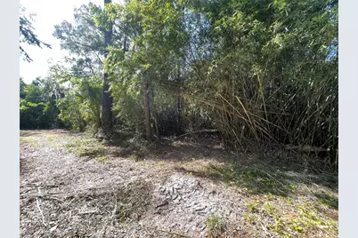 521 NE 31st Street, Ocala, FL 34479 - Photo 4