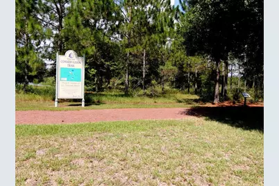 9541 SE 124th Loop, Summerfield, FL 34491 - Photo 58