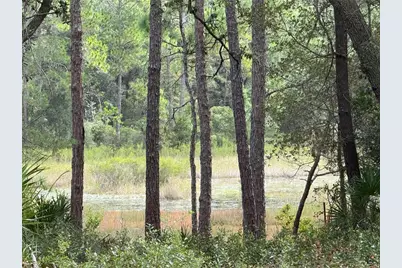 0 NE 114th Avenue Road, Fort Mc Coy, FL 32134 - Photo 1