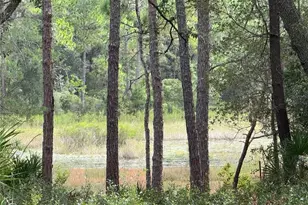 0 NE 114th Ave Rd, Fort Mc Coy, FL 32134 - Photo 1