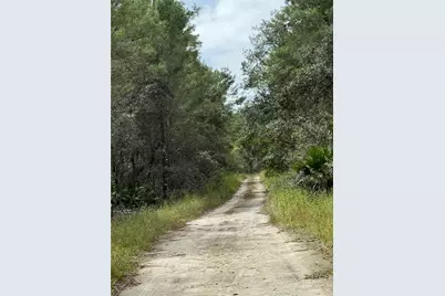 0 NE 114th Avenue Road, Fort Mc Coy, FL 32134 - Photo 6