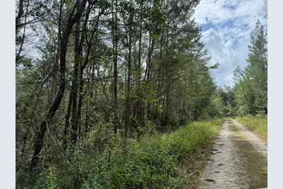 0 NE 114th Avenue Road, Fort Mc Coy, FL 32134 - Photo 8